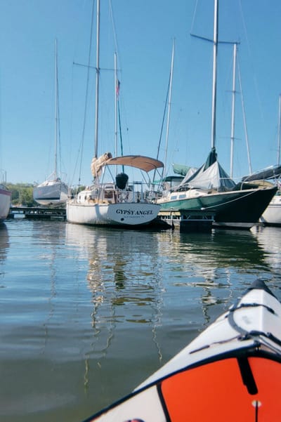 No. 20