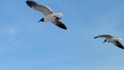 June in Review