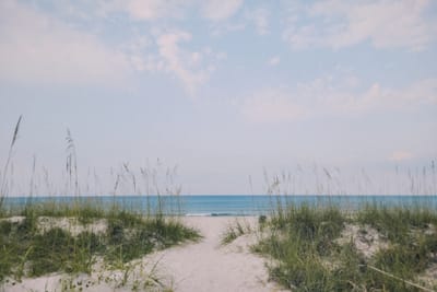 I Went To The Beach and Said "No Thank" To Everything Else