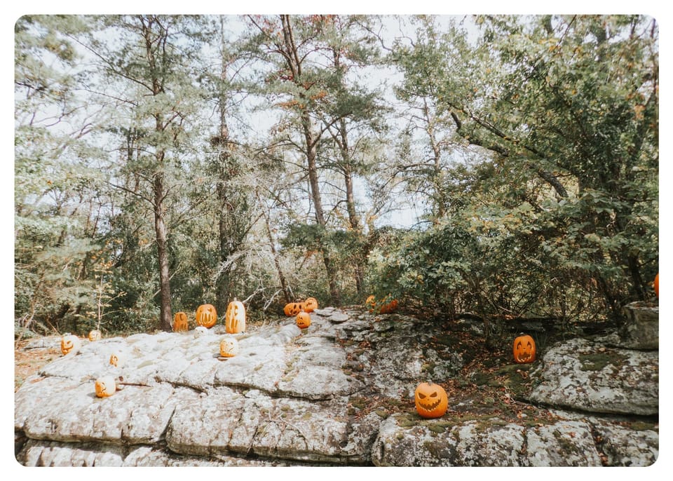 No. 58 - Green Eyes, Books, and Publishing